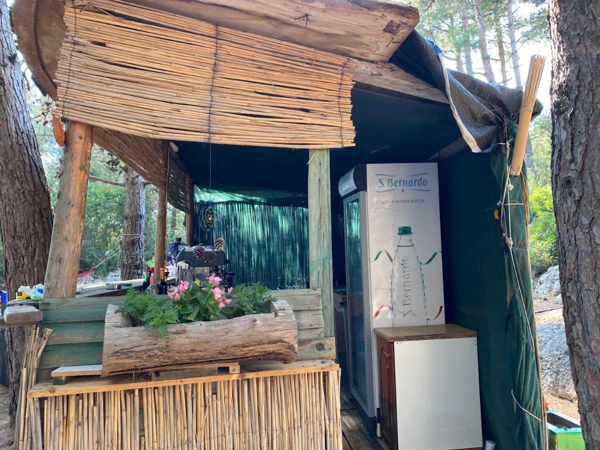 Отель Pine Side Camp Химара Экстерьер фото