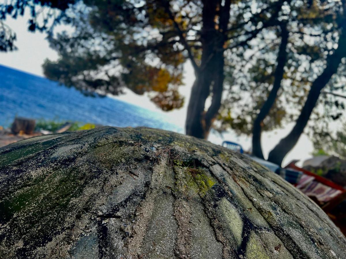 Отель Pine Side Camp Химара Экстерьер фото